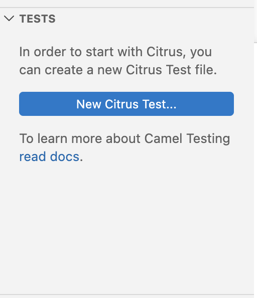 Kaoto VS Code extension with Citrus testing support