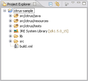 project_explorer.png